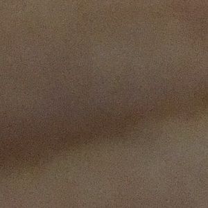 Meet your Posher, Alexa